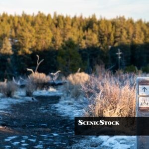 Shevlin Park Discovery Trail
