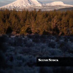 Mount Bachelor at Sunrise from Shevlin Park