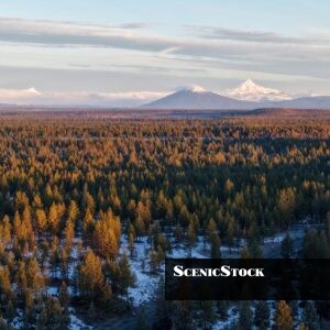 Mount Jefferson and Black Butte at Sunrise