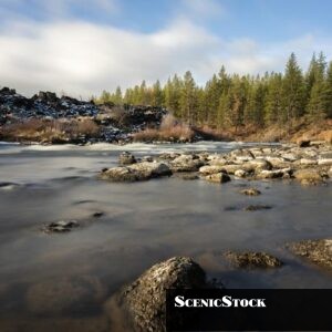 Deschutes River Near Lava Island