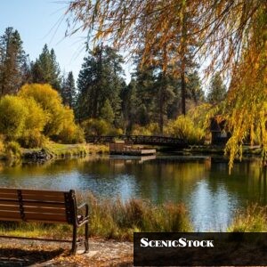 Shevlin Park Pond and Bench in Fall