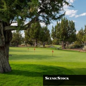 Juniper Preserve Pronghorn Practice Green