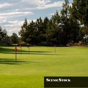 Juniper Preserve Pronghorn Practice Green