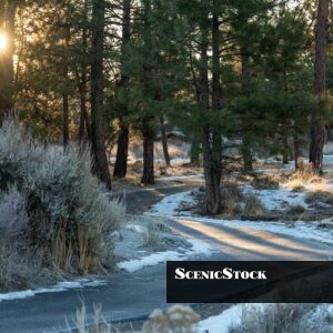 Shevlin Commons Walking Trail at Sunrise