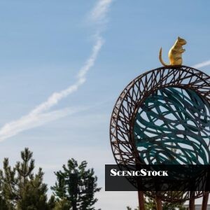 Golden Squirrel's Wondrous World Profile