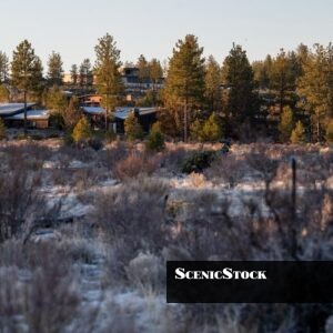 Shevlin Commons from the Walking Trail